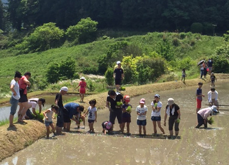 大人もこどもも泥だらけになり懸命に田植えをした