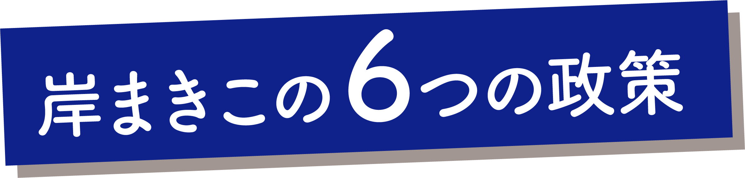 岸まきこの6つの政策